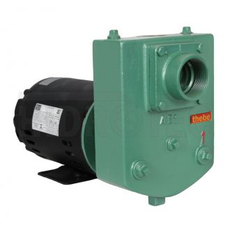 Bomba de Agua Autoescorvante Thebe AEX 1 2,0Cv Monofasico IP23 127/220/254 Voltagens