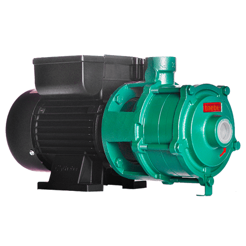 Bomba Multiestagio Thebe P 11/3 1,5Cv Monofasico IP55 127/220/254 Voltagens